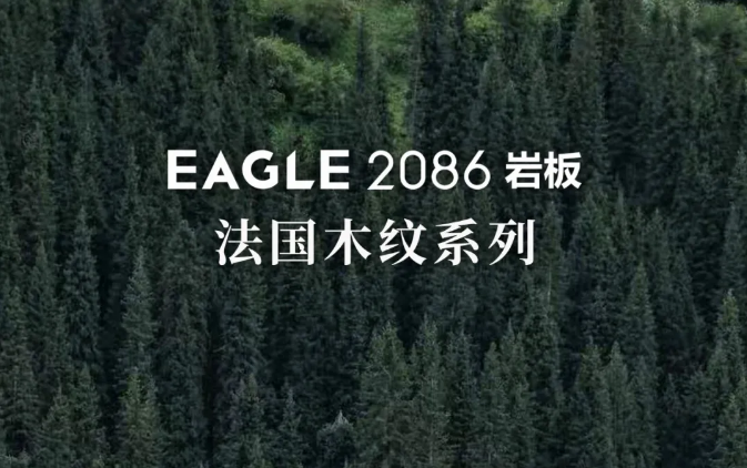 新品首发 | EAGLE2086岩板——法国木纹系列