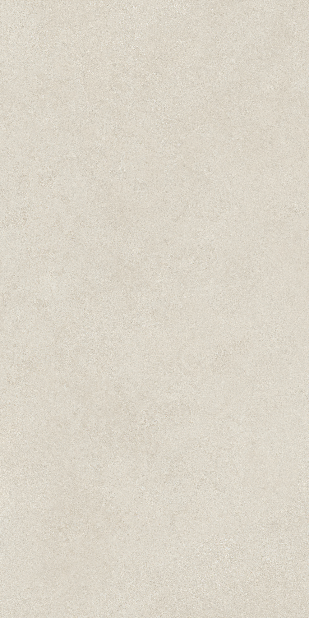 Y1KNM146T100G产品图