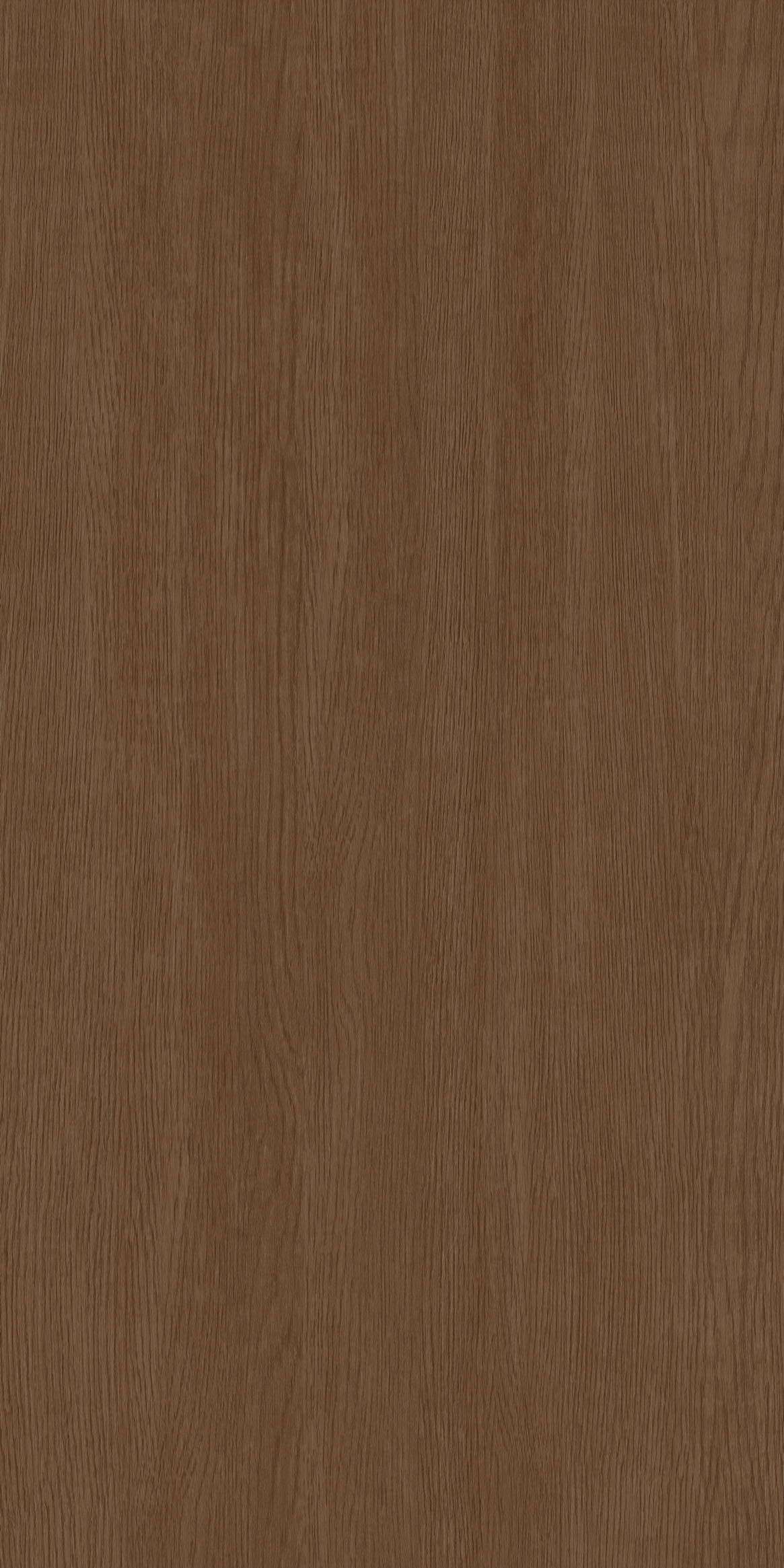 Y1FMP167T100G产品图